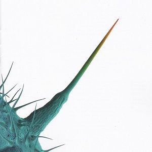 And I’ll Scratch Yours (Peter Gabriel) - Diverse Artiesten