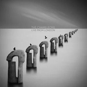 Chameleons (The) - Live From London