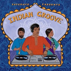 Putumayo Presents Indian Groove - Diverse Artiesten