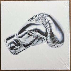 Bryan Adams - Roll With The Punches